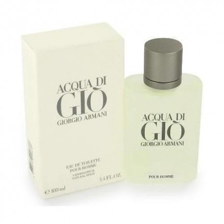 Giorgio Armani Acqua di Gio Pour Homme, tualetinis vanduo vyrams, 100ml