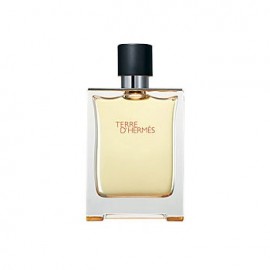 Hermes Terre D´Hermes, tualetinis vanduo vyrams, 100ml