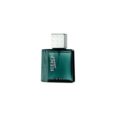 Iceberg Homme, tualetinis vanduo vyrams, 100ml