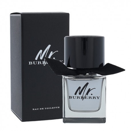 Burberry Mr. Burberry, tualetinis vanduo vyrams, 50ml