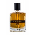 Iceberg Iceberg Man, tualetinis vanduo vyrams, 100ml