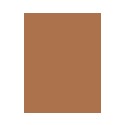 Wet n Wild Color Icon, akių kontūrų pieštukas moterims, 1,4g, (Pros And Bronze)
