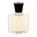 Roberto Capucci Capucci Pour Homme, tualetinis vanduo vyrams, 100ml