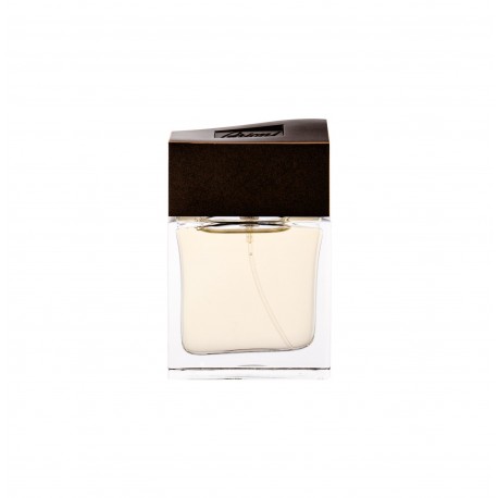 Brioni Brioni, kvapusis vanduo vyrams, 30ml