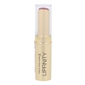 Max Factor Lipfinity, lūpdažis moterims, 3,4g, (60 Evermore Lush)