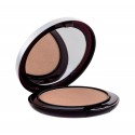 Artdeco Highlighter Powder Compact, skaistinanti priemonė moterims, 9g, (6 Glow Time)