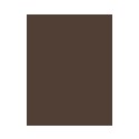 Estée Lauder Brow Now, antakių kontūrų pieštukas moterims, 1,2g, (04 Dark Brunette)