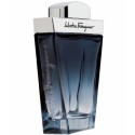 Salvatore Ferragamo Subtil Pour Homme, tualetinis vanduo vyrams, 100ml